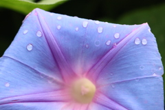 水滴