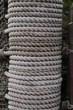 ディズニーシー