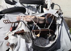 スナップ・サビ