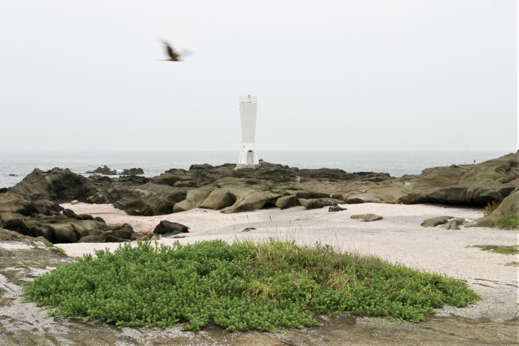 三浦海岸