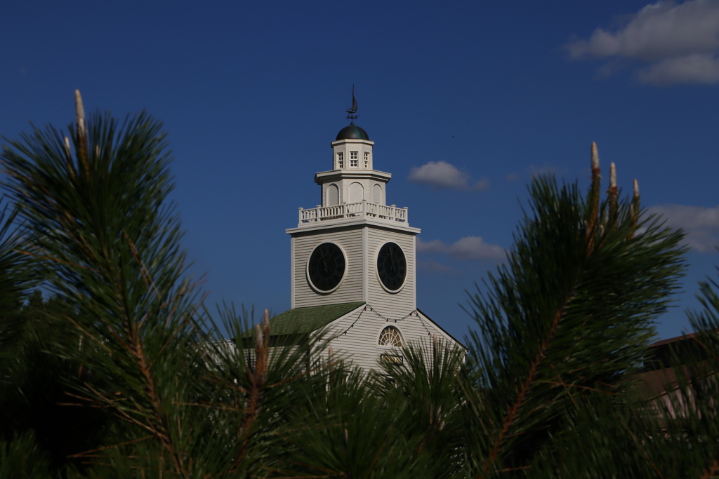 ディズニーシー