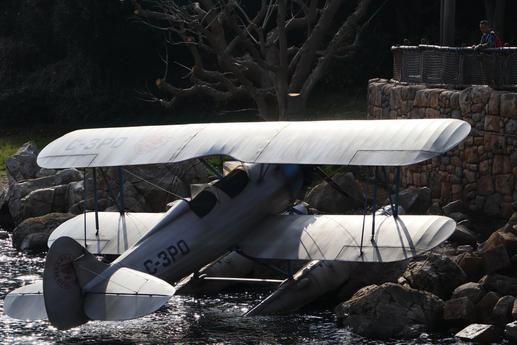 ディズニーシー