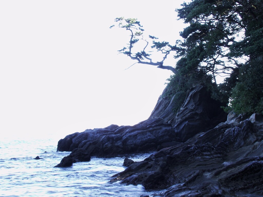 三浦海岸