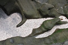 三浦海岸
