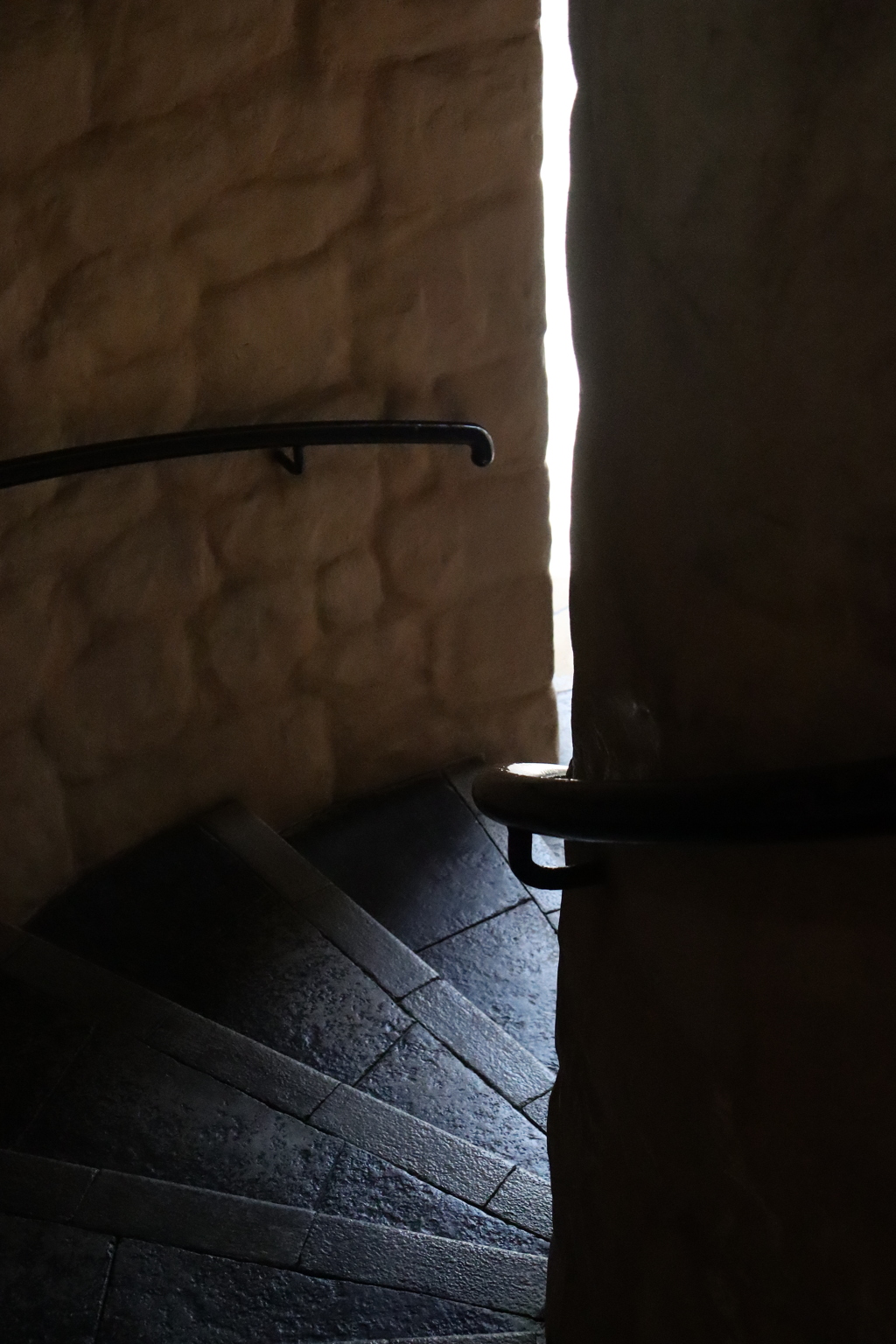 ディズニーシー