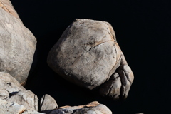 ディズニーシー