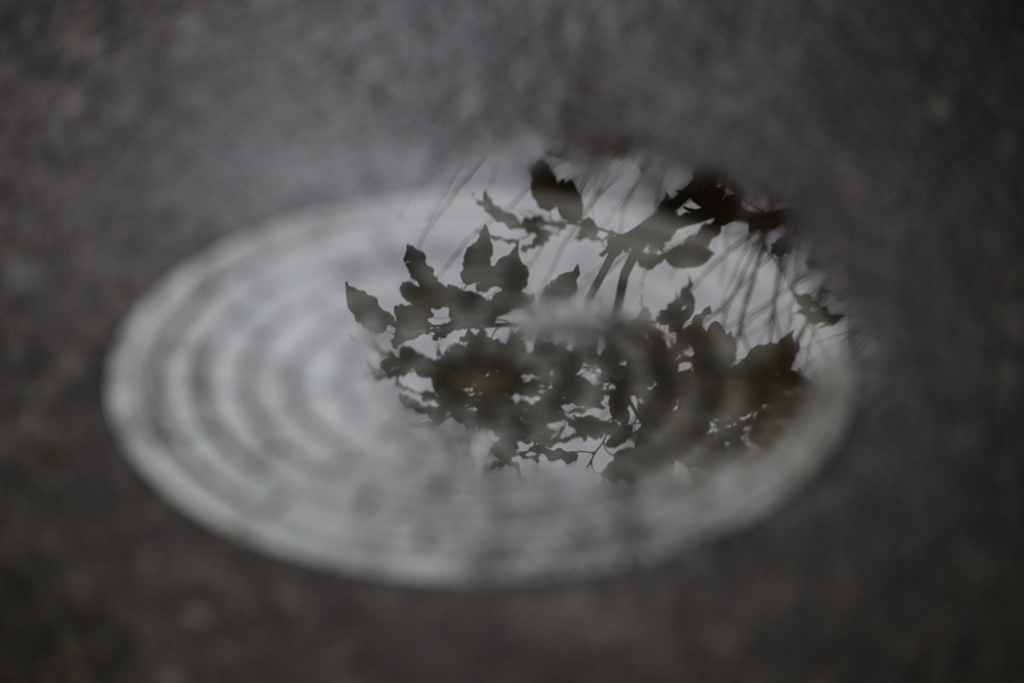 マンホール水溜り