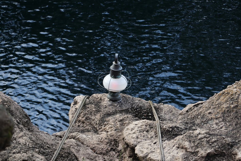 ディズニーシー