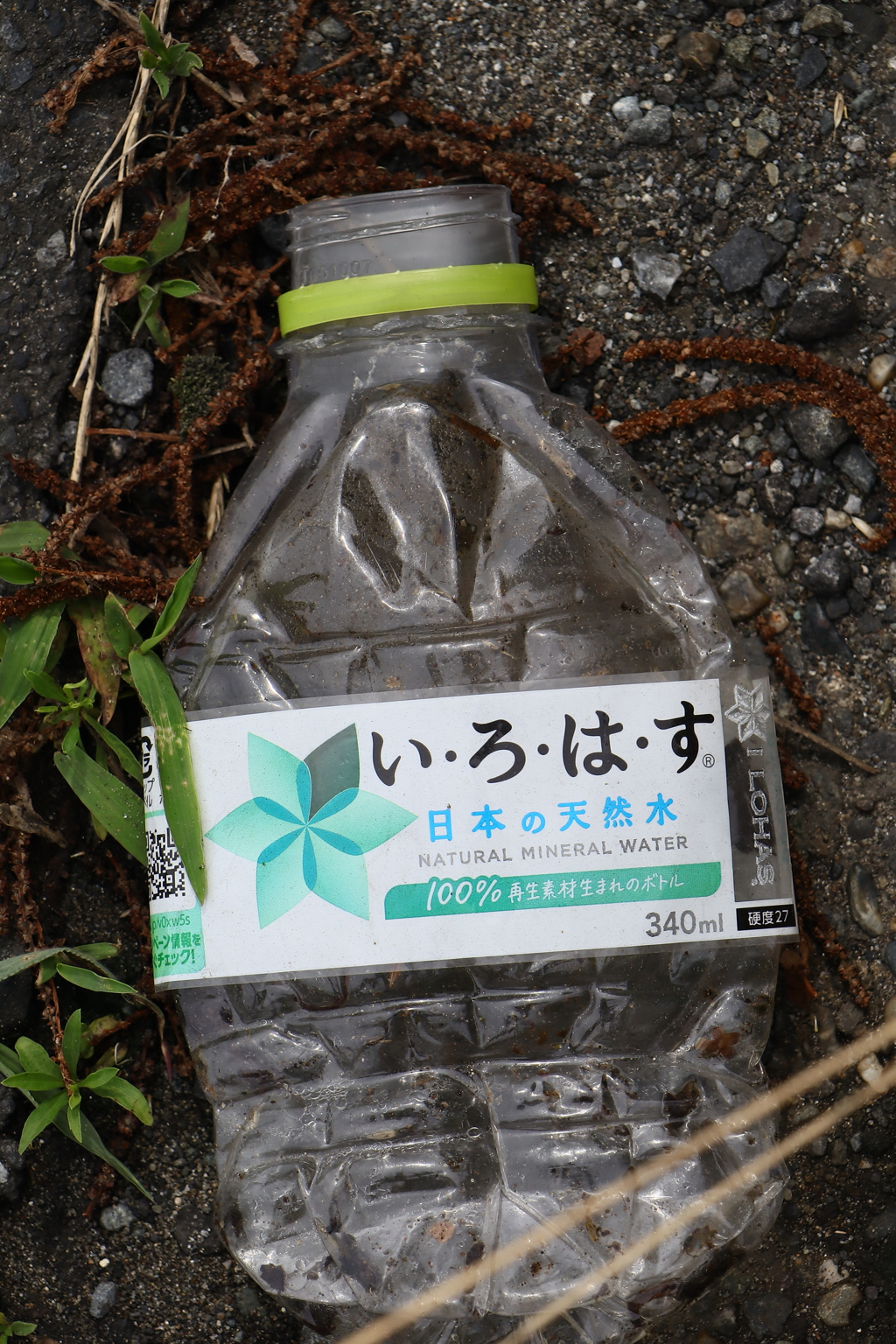 タイヤにプレスされた物