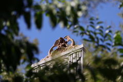 ディズニーシー