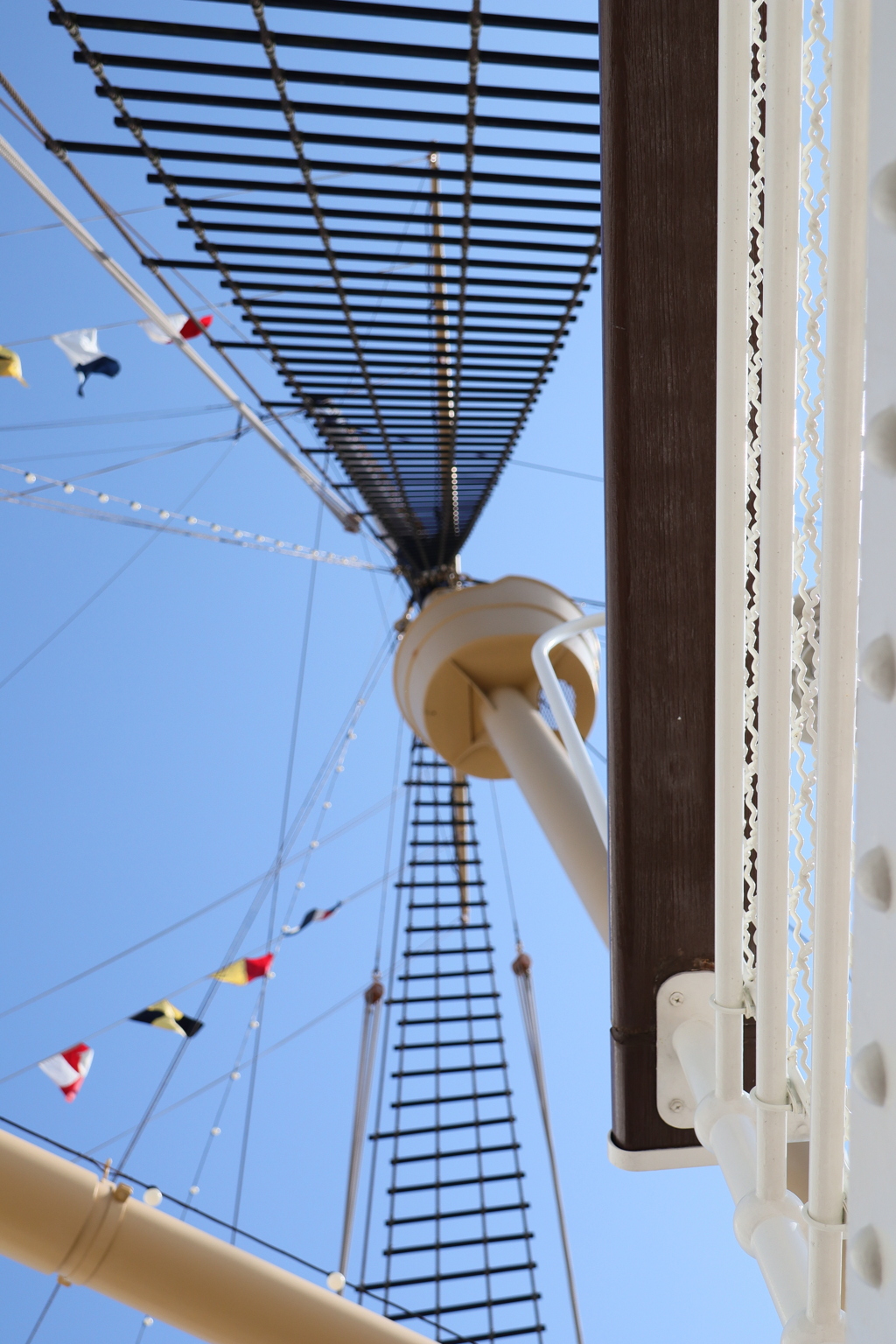 ディズニーシー