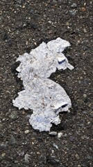 プレスされたモノ