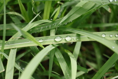 水滴