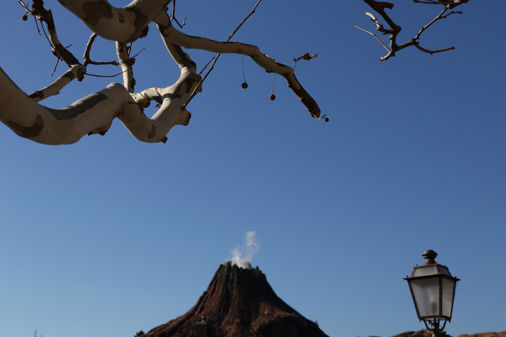 ディズニーシー