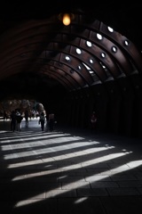 ディズニーシー