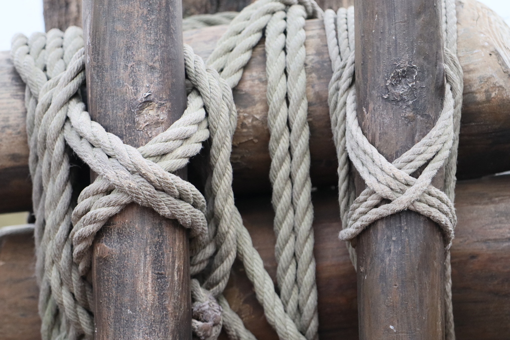 ディズニーシー