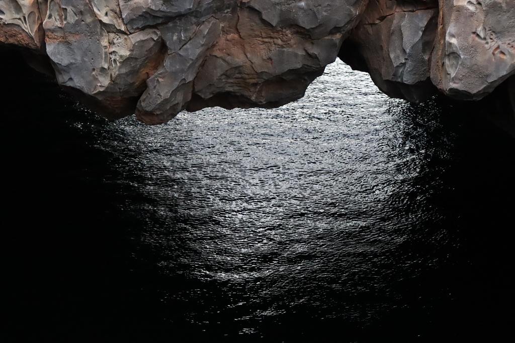 ディズニーシー