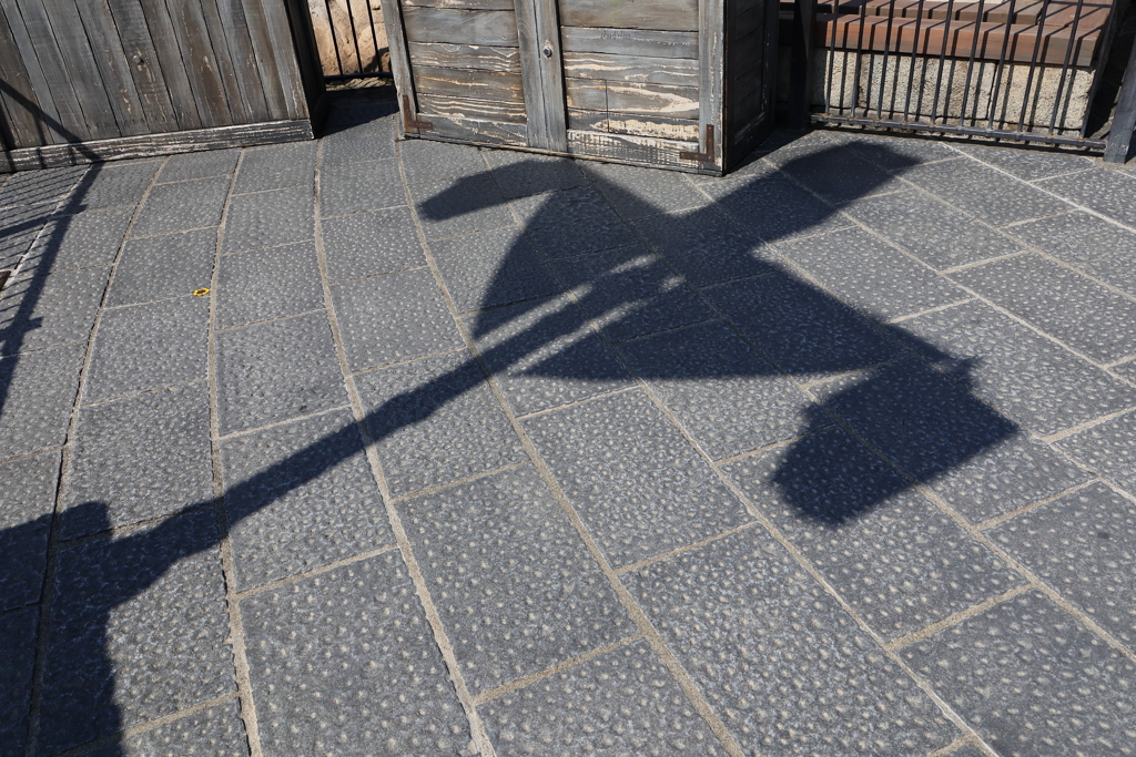 ディズニーシー