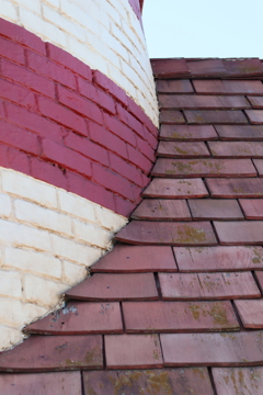 ディズニーシー