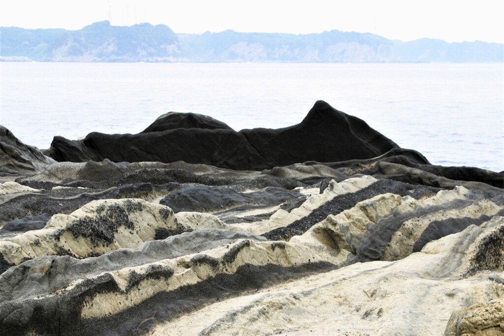 三浦海岸
