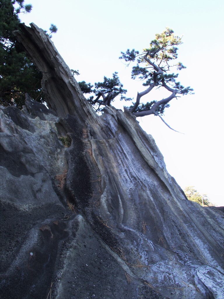 三浦海岸