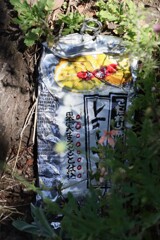 プレスされた缶