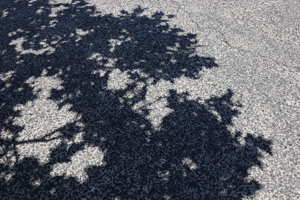 ディズニーシー