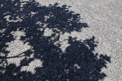 ディズニーシー