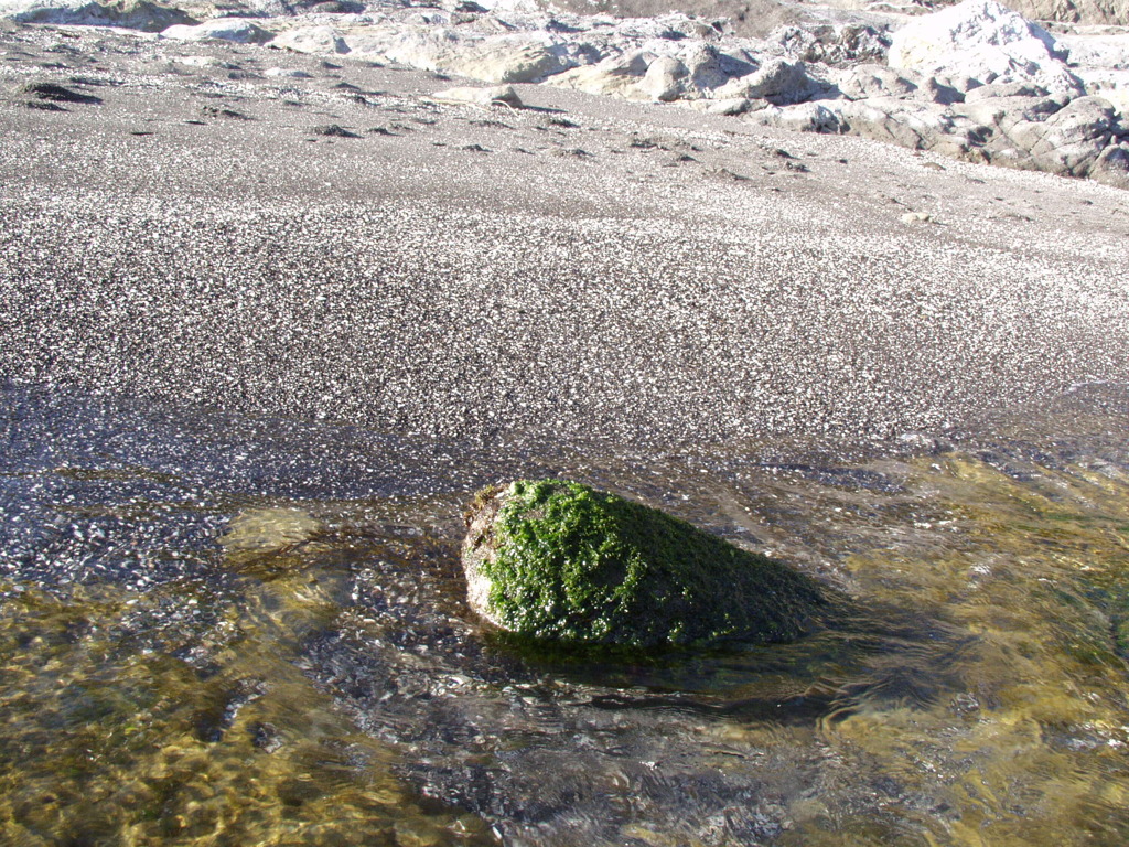 三浦海岸
