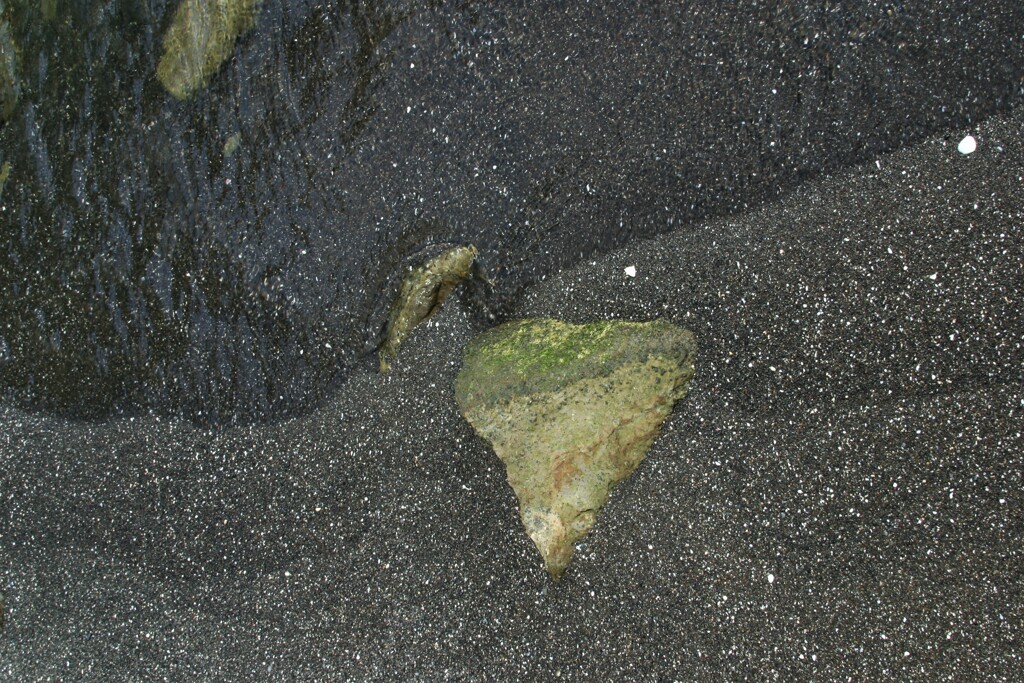 三浦海岸