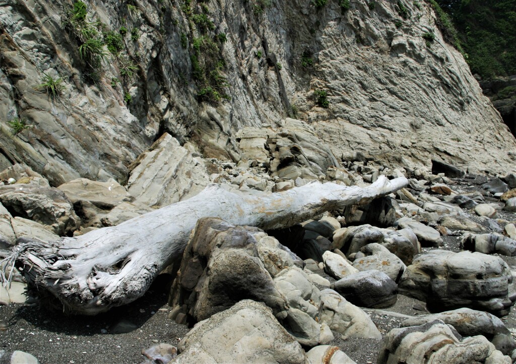 三浦海岸