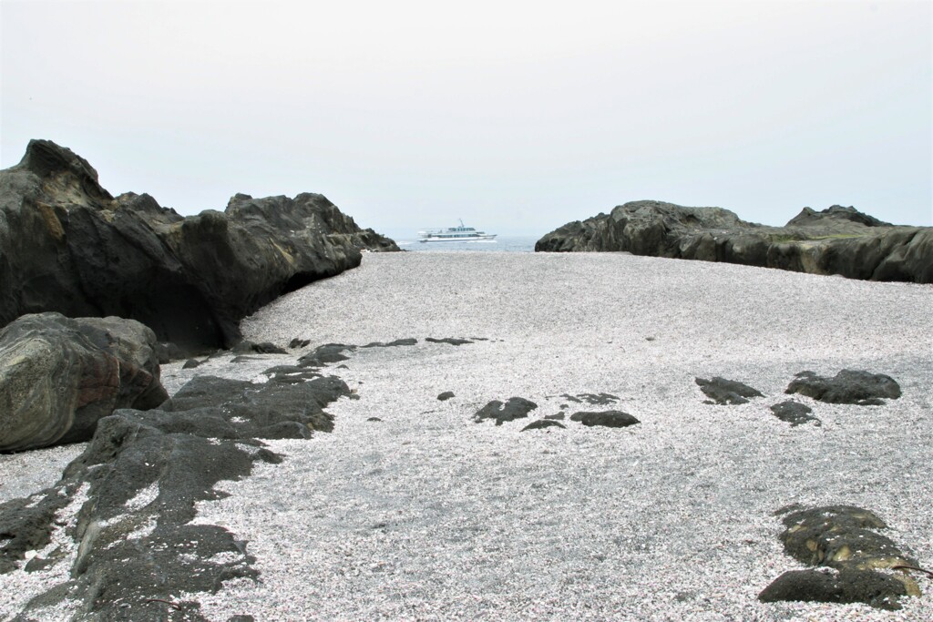 三浦海岸