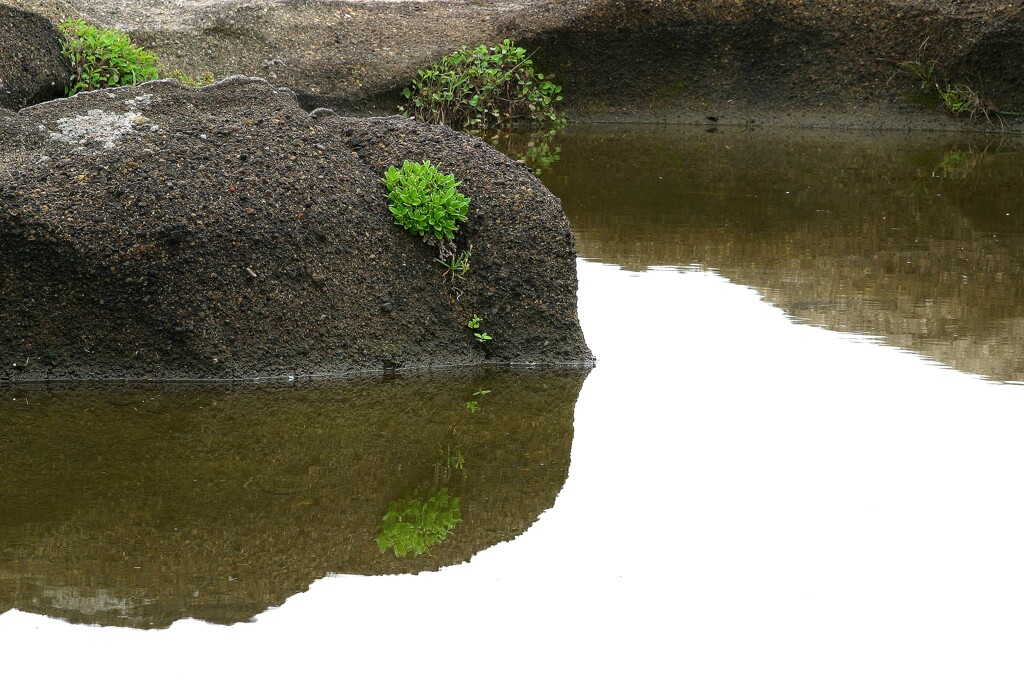 三浦海岸