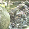 近所の公園で