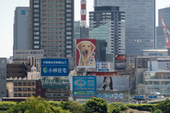 ゴン太の看板も健在