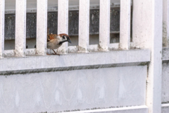 何かあるかな？