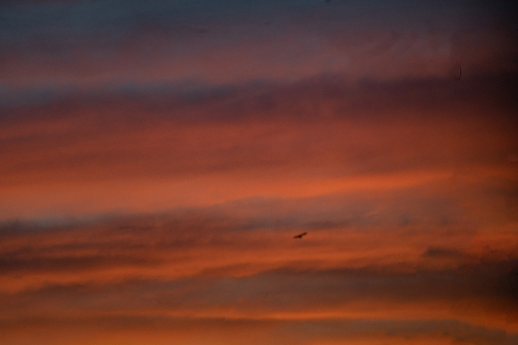 夕暮れ