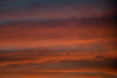 夕暮れ