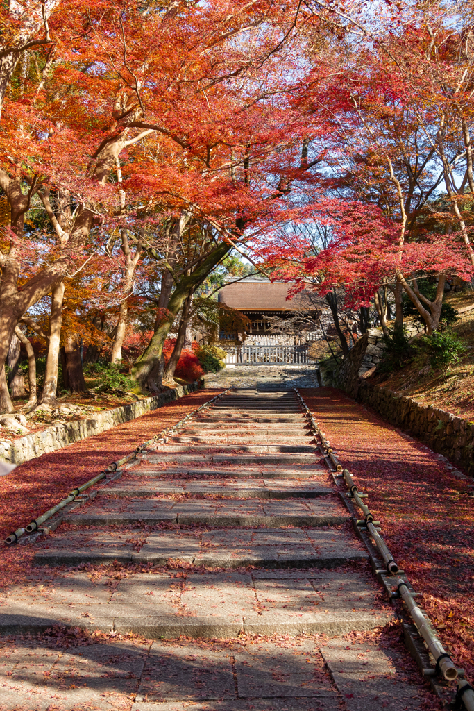 毘沙門堂の紅葉