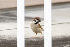 こちらに気づいたかな？！
