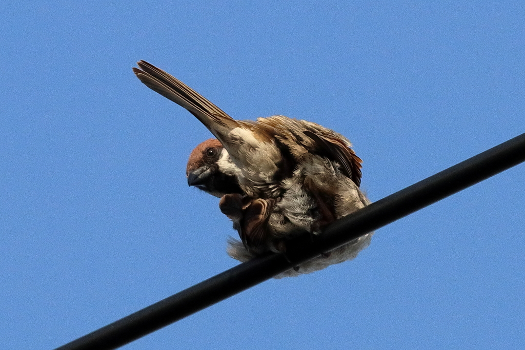 何バックから撮ってんだ！？