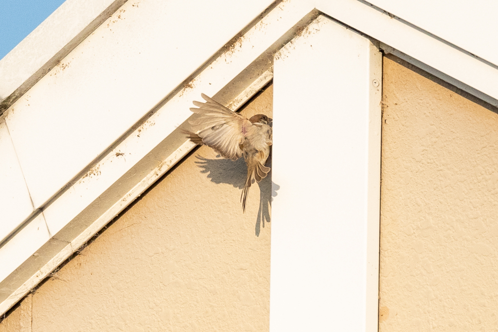 何やってんの？