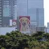 ゴン太君