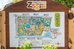 京都市動物園１