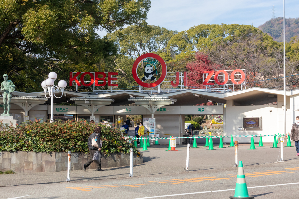 神戸市立王子動物園へ行ってきました