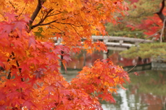 紅葉と池と石橋