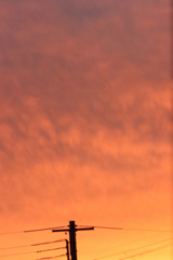 ♪夕焼け小焼けで日が暮れてぇ♪