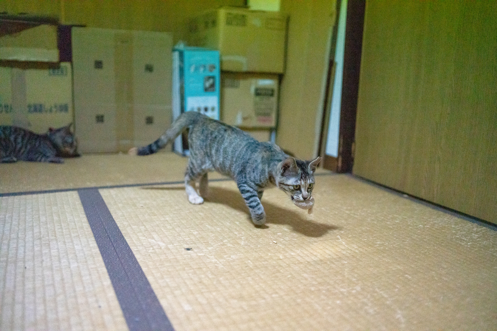えへへへ