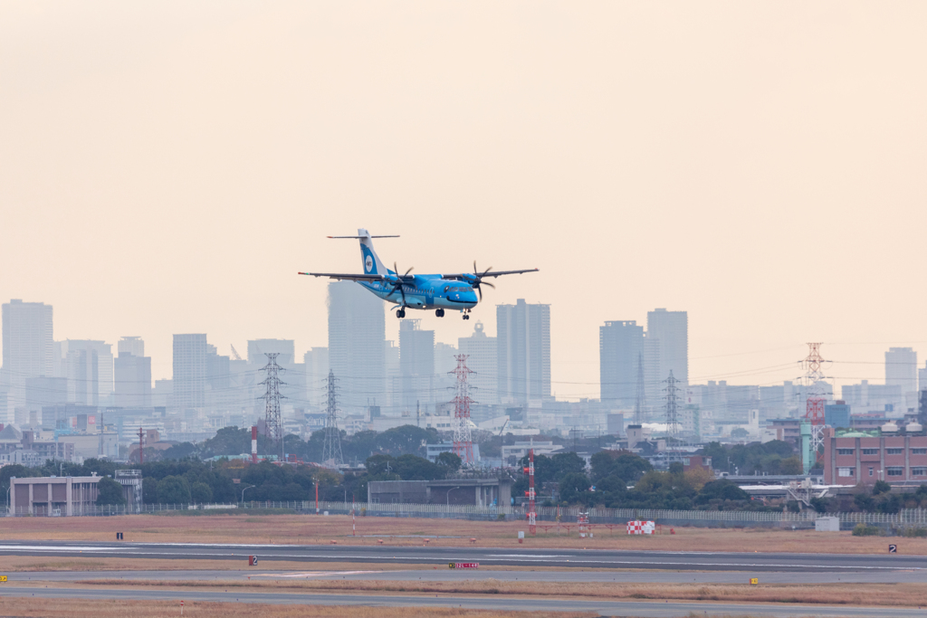 やっと会えた By 三流京都人 Id 写真共有サイト Photohito