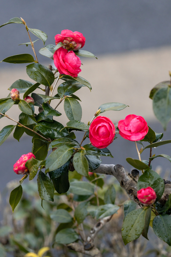 ホッとする瞬間